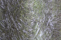 Diglis fibreglass roof work